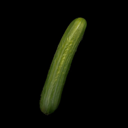 Cucumber (Persian)