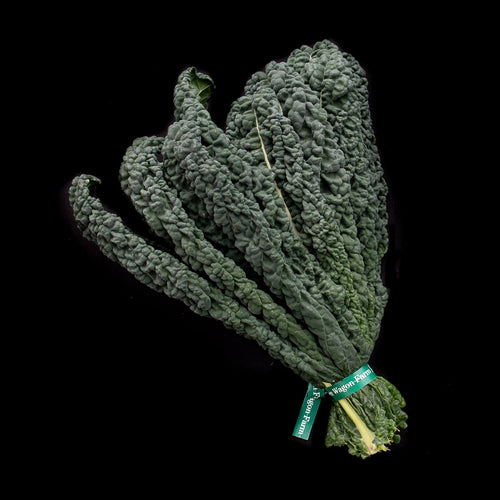 Kale (Lacinato)