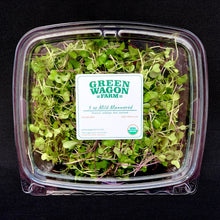 Load image into Gallery viewer, Microgreens (Mild Mannered)