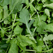 Load image into Gallery viewer, Arugula