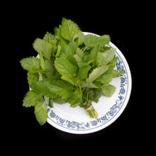Load image into Gallery viewer, Lemon Balm