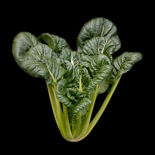 Asian Greens (Tatsoi, Green)