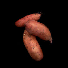 Load image into Gallery viewer, Sweet Potato