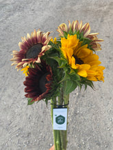 Load image into Gallery viewer, Sunflower Bunch, Mixed