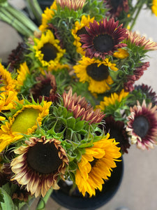 Sunflower Bunch, Mixed