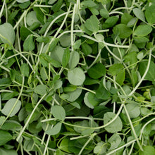 Load image into Gallery viewer, Pea Shoots