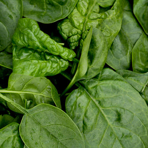 Spinach