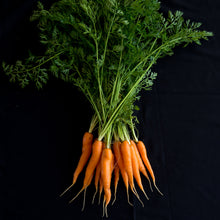 Load image into Gallery viewer, Carrots