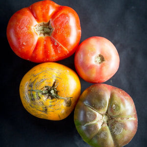 Tomato (Heirloom)