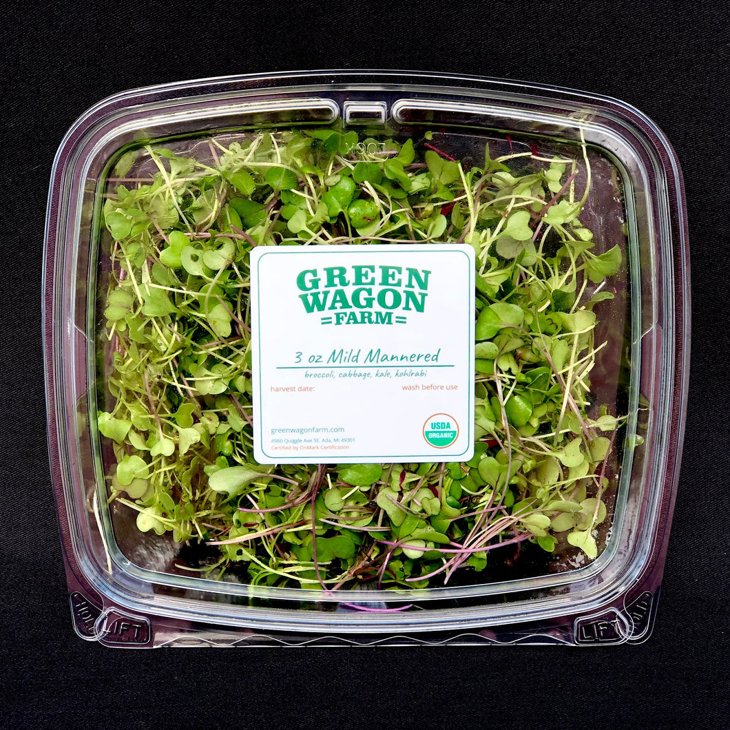 Sprouts and Microgreens Mini Cards — Good Gray