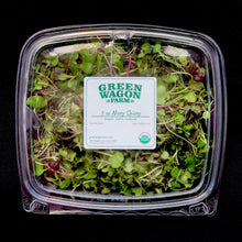Load image into Gallery viewer, Microgreens (Nicey Spicey)
