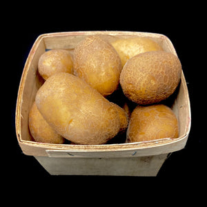 Potato (Oneida Gold)