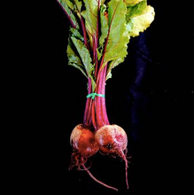 Load image into Gallery viewer, Beets (Red)