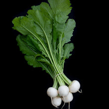 Load image into Gallery viewer, Salad Turnips