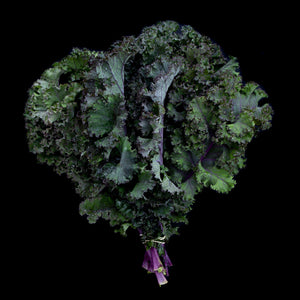 Kale (Red)