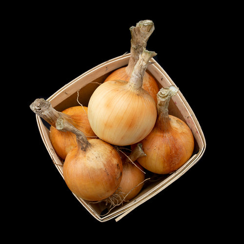 Onions (Yellow)