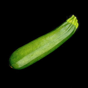 Zucchini