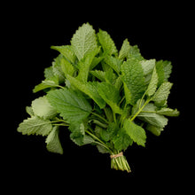 Load image into Gallery viewer, Lemon Balm