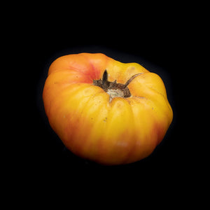 Tomato (Heirloom)