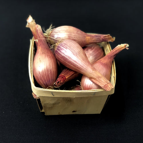 Shallots